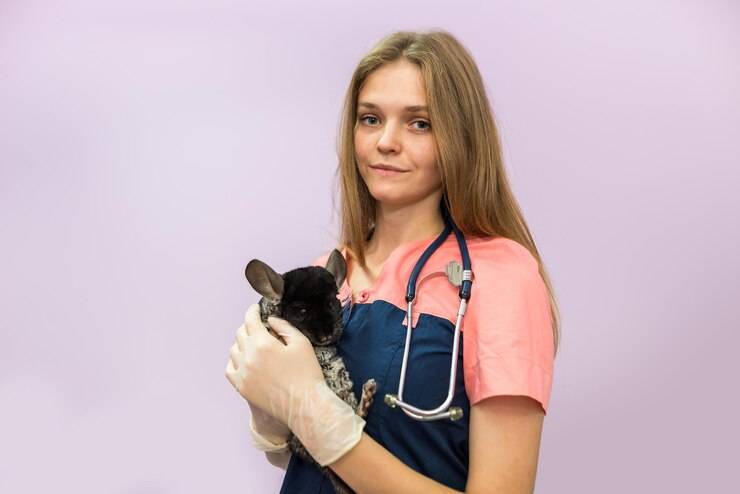 Грумер: профессия и зарплата